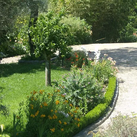 Quinta De Cachopaes