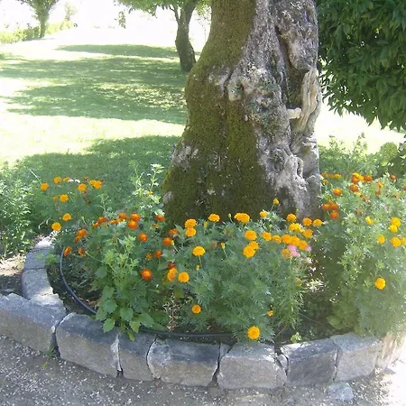 Quinta De Cachopaes Vila Verde (Braga)